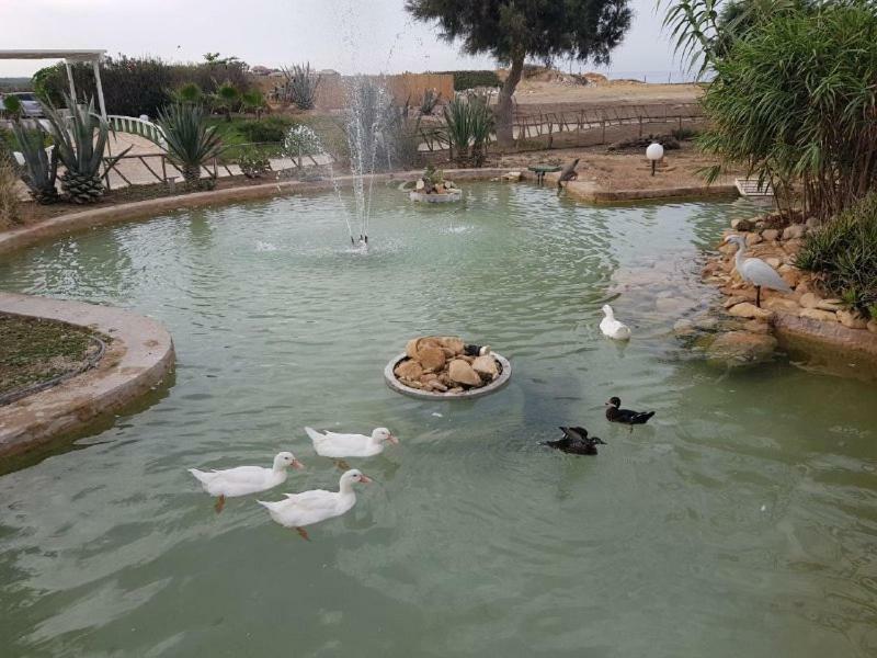 סקוליטי Kamarina Resort מראה חיצוני תמונה